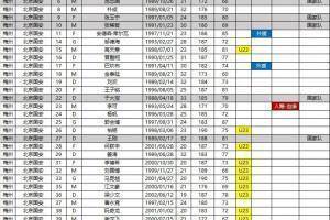 北京国安足协杯补报名单:可补报6人,已补报段德智、乃比江等4人