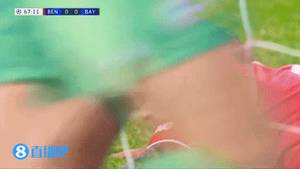 欧冠-萨内两射一传莱万破门 拜仁14分钟4球4-0大胜本菲卡