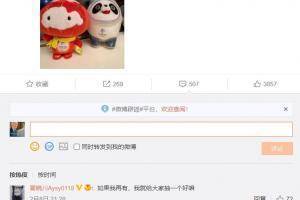 翟晓川晒冰墩墩与雪容融:如果我再有 就给大家抽奖